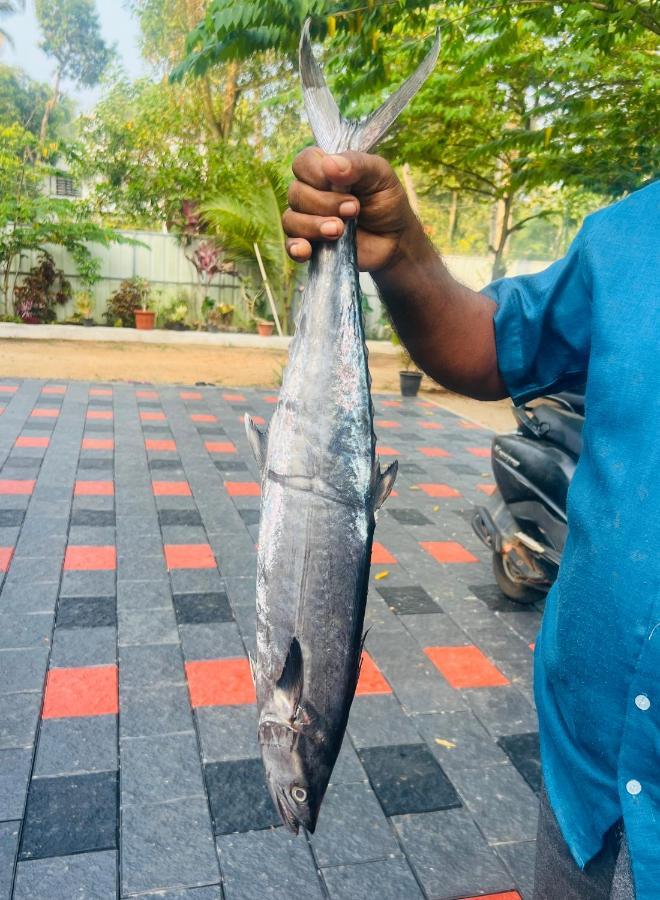 Alappuzha Marari Eclipse Homestays מראה חיצוני תמונה